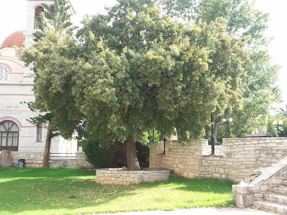 Вілла Lale'S House Garazo Екстер'єр фото